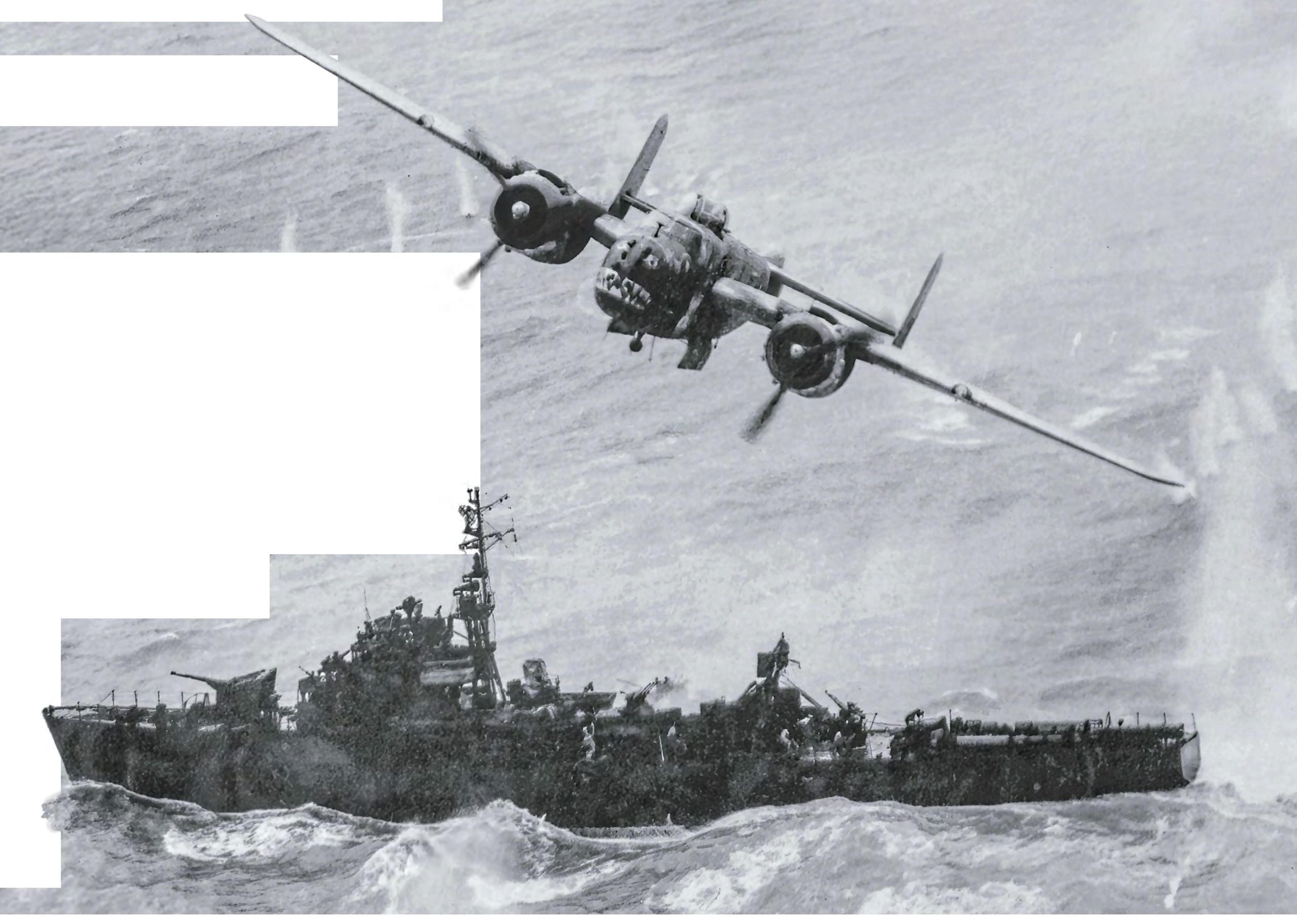 MAGNIFICENT MITCHELLS